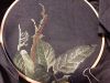20190908_172537.thumb.jpg.ab95ebc2ab4220f1e757cd07d15efab9.jpg