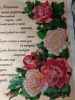 20190910_004107.thumb.jpg.d36bf7caacdb8d5e423bc190d2b60ce9.jpg