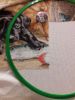 20190910_213723.thumb.jpg.53ed1e3edbd9467b9778215e97a0306f.jpg