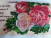 20190912_123946.thumb.jpg.75cae4a3ae972273d035664f9ee1a316.jpg