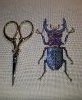 20190914_141531.thumb.jpg.e07cd58784099f6ad84b00a656a4a3c9.jpg?1568460033280