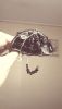 20190917_005352.thumb.jpg.fa819960caa5fba8f6c8f89353c83042.jpg