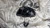 20190917_095219.thumb.jpg.6df49f10f7ed74c58a2783bb5a3ae229.jpg