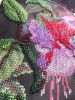 20190917_144723.thumb.jpg.ca556aee36f8a8726be6f3b34b09df67.jpg