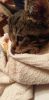 20190927_192353.jpg