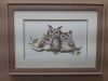 20190929_115957.thumb.jpg.cedc980ff182d1985eb72b242fff9a41.jpg