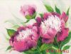 23117.thumb.jpg.a7c9f0205eee09be36d67929bf337a08.jpg