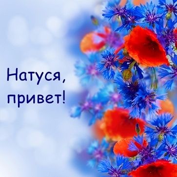 276868-b6832-79357508-m750x740-ueee92.jpg.db2037b14080771e0c9d4f407662dce1.jpg