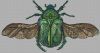 27949.thumb.jpg.af6e7dc93b32dd999ac45cc3ed292bcb.jpg