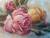 3.thumb.jpg.a853cdc3eb940a4785f0f83bfc252a4b.jpg