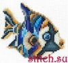 38497.thumb.jpg.2614dc3a7c10561800a7d744ccded0d8.jpg