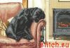 40732.thumb.jpg.24c18e60431989db6e58bc10da1d81cd.jpg