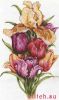 4189.thumb.jpg.cbcd102018f8ac31c65c1edb16a4dd51.jpg