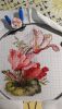 6.thumb.jpeg.edcb9e019cb114d4cdae3c0e859f03d3.jpeg