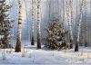Фондукова Ирина (ЭстЭ) #8048, В лесу родилась ёлочка