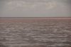 DSC00081.thumb.JPG.1cc7c4d0c4d10d1e70f4e099cbc0f3f7.JPG
