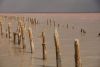 DSC00102.thumb.JPG.01623c18ebe183c49227fd3d864a69fa.JPG
