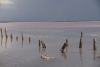 DSC00158.thumb.JPG.175795e8f44cb88a11a2daf3179a9ffa.JPG