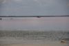 DSC00160.thumb.JPG.50b6d27cf7c1e2ca50e57be1cf49f0a0.JPG