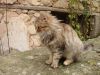 DSC04552.thumb.JPG.f434980ac354031930b05ee70806acaf.JPG