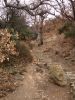 DSC04554.thumb.JPG.a1664b1081c20f8d6d7bb7f03a6fdc53.JPG
