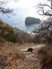 DSC04632.thumb.jpg.a078f4d75abaa160c511b9a9e717592c.jpg
