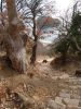 DSC04633.thumb.jpg.5b96a84c0ba886e5a39a5b8daa43cbbc.jpg