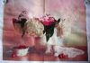 DSCN9992.thumb.jpg.57c9b2a8a279fc6bd50fecb1da6abd2e.jpg