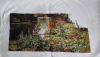 DSC_0072.JPG.fadb57dc53a0a6cb349202ecade81db5.thumb.jpg.03ae501accdd12306ac76f3438f876a4.jpg