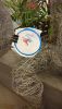 DSC_1824.thumb.JPG.25e3a9d6a385c06282c6ff6db33560d0.JPG