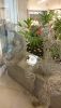 DSC_1825.thumb.JPG.a7b056e953f9f156814eca669f9bf5d9.JPG