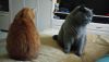 DSC_2069.thumb.JPG.81130793d2e5725649ab39f2715cb611.JPG