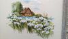 DSC_2149.thumb.JPG.dc9d9e314f46614119c1c1aef5f269c8.JPG