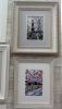 DSC_2151.thumb.JPG.fcbb8175ae26dec7d5f6ac01916d69fa.JPG