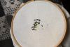 DSC_2828.thumb.JPG.519869b4c7cb5b7912538cc860edfbf8.JPG