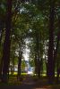 DSC_3127.thumb.JPG.8854d532b00d44c1cca95c9d496eb25a.JPG