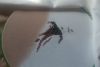 DSC_4826-01-1.jpeg
