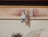 DSC_4961a.thumb.jpg.47501ce3b939cb0e3f46fb870407889c.jpg