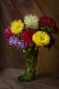 DSC_9211.thumb.JPG.d2dcb966fc9050453ba9f6201c781e7f.JPG
