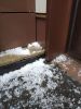 IMG-20190910-WA0008.thumb.jpg.711e4a0129347242a89a00773f2ec9e7.jpg