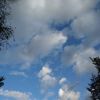 IMG-20190914-WA0032.thumb.jpg.7700b7a75b63484d85e3440e5204cb7c.jpg