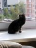 IMG-20190927-WA0007.jpg