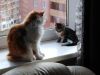 IMG-20190927-WA0011-1.jpg