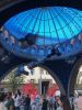 IMG-3628.thumb.JPG.eda65cb459ee7db68c55d523bb43a24a.JPG