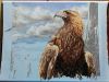 IMG_20190726_092252.thumb.jpg.902683a527884c2c5ca17578a92627dd.jpg