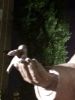 IMG_20190817_212042_HDR.thumb.jpg.842daa0262e6740f6e8fa13cd33e8bb4.jpg