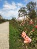 IMG_20190819_124925.thumb.jpg.554971ad75df95b522d4a45b2a13846b.jpg