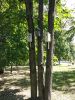 IMG_20190819_142643.thumb.jpg.96ec843849a6db27f22ce1e0b709186d.jpg