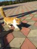IMG_20190831_125826.thumb.jpg.bfe0982e6f24565bfed9444a7d09e0f9.jpg
