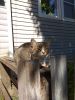 IMG_20190831_133052.thumb.jpg.058657938d8b036f50b5bc60d2a2747b.jpg